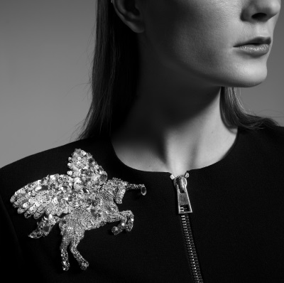 feature-collection-image